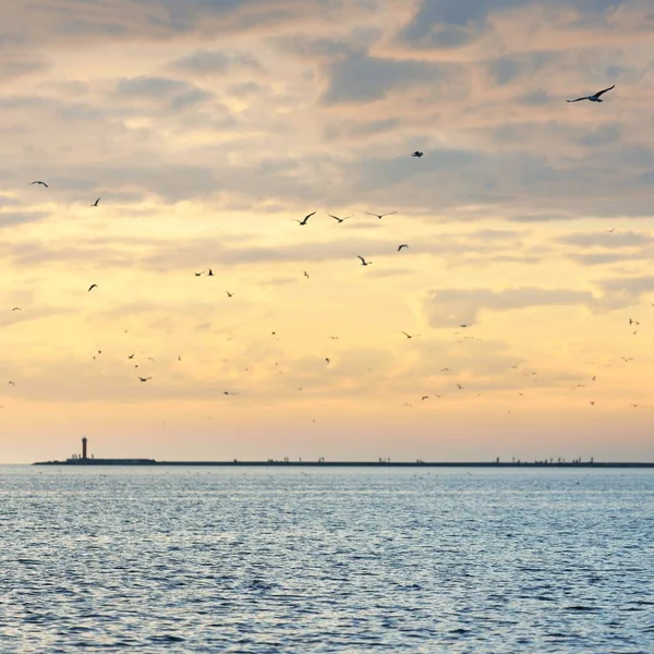 Baltic Sea Storm Panoramic View Sailing Boat Lighthouse Seagulls Dramatic — Stock Photo, Image