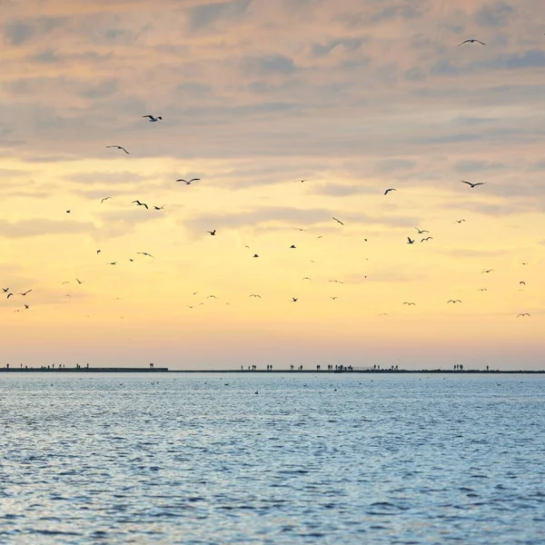 Oostzee Storm Panoramisch Uitzicht Vanaf Een Zeilboot Vuurtoren Meeuwen Dramatische — Stockfoto