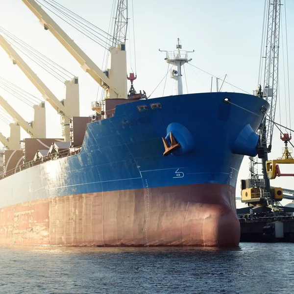 Stora Lastfartyg Bulkfartyg 187 Meters Längd Lastning Hamnterminalen Kranar Bakgrunden — Stockfoto