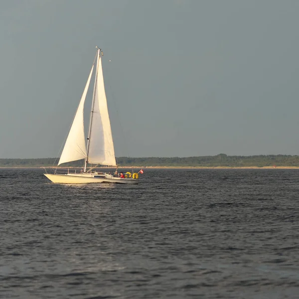 Balsa Blanca Yate Aparejado Navegando Mar Báltico Atardecer Cielo Despejado —  Fotos de Stock