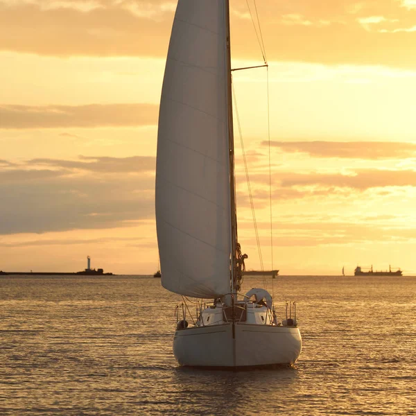 Yacht Gréé Sloop Naviguant Dans Mer Baltique Coucher Soleil Ciel — Photo