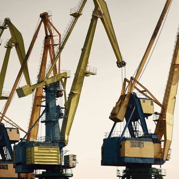 Modern Coal Terminal Riga Latvia Cranes Close Baltic Sea Freight — Stock Photo, Image