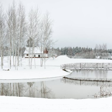Orman nehri ve bulutlu bir kış gününde geleneksel yalnız ev. Kar fırtınası, kar tepeleri. Genç ladin ve huş ağaçları. Idyllic kırsal kesim. Noel tatilleri, ekolojik tatil beldeleri, uzak yerler