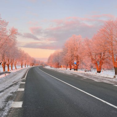 Karla kaplı orman ve kırsal alanda boş otoyol (asfalt yol). Otobüs durağı. Gündoğumu, kar yağışı. Doğa, Noel tatilleri, uzak yerler, kış lastikleri, tehlikeli sürüş konsepti