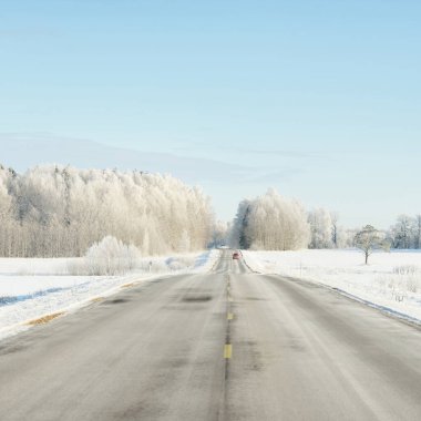 Karla kaplı orman ve kırsal alanda boş otoyol (asfalt yol). Kar sürükleniyor. Avrupa. Doğa, Noel tatilleri, uzak yerler, kış lastikleri, tehlikeli sürüş konsepti