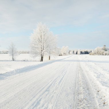 Kırsal alanda, karla kaplı tarlaların içinden geçen köy yolu. Arabadan görüntü. Kar sürükleniyor. Avrupa. Doğa, Noel tatilleri, uzak yerler, kış lastikleri, tehlikeli sürüş konsepti