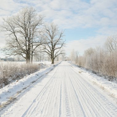 Kırsal alanda, karla kaplı tarlaların içinden geçen köy yolu. Arabadan görüntü. Kar sürükleniyor. Avrupa. Doğa, Noel tatilleri, uzak yerler, kış lastikleri, tehlikeli sürüş konsepti