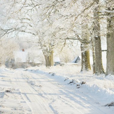 Güneşli bir günde karla kaplı tarlaların ve köyün içinden geçen yol. Arka plandaki kır evleri. Idyllic manzara. Noel tatilleri, eko turizm, yürüyüş, kayak, uzak yerler, off-road teması