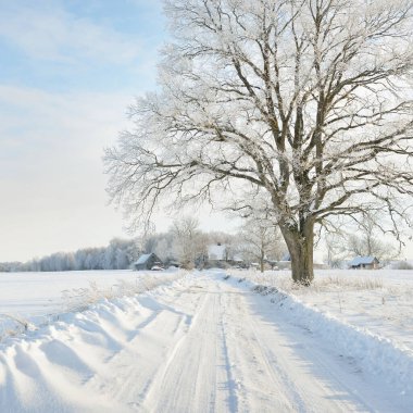 Güneşli bir günde karla kaplı tarlaların ve köyün içinden geçen yol. Arka plandaki kır evleri. Idyllic manzara. Noel tatilleri, eko turizm, yürüyüş, kayak, uzak yerler, off-road teması