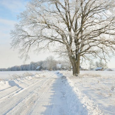 Güneşli bir günde karla kaplı tarlaların ve köyün içinden geçen yol. Arka plandaki kır evleri. Idyllic manzara. Noel tatilleri, eko turizm, yürüyüş, kayak, uzak yerler, off-road teması