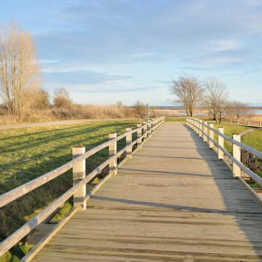 Modern ahşap yürüyüş yolu (bisiklet yolu, tahta yol). Eğlence alanı, orman parkı. Yumuşak güneş ışığı, açık gökyüzü. Baharın başında. Idyllic manzara. Doğa, çevre, ekoloji, eko-turizm, tatiller, hafta sonu