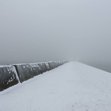 Kumlu sahilden Baltık Denizi 'nin panoramik manzarası. Deniz fenerine dolaş, dalgalar. Yoğun beyaz sis, sis, kar. Dalgalar, su sıçramaları. Deniz Burnu. Tek renkli kış manzarası