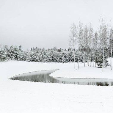 Bulutlu bir kış gününde orman nehri. Kar fırtınası, kar tepeleri. Genç ladin ve huş ağaçları. Idyllic kırsal kesim. Noel tatilleri, ekolojik tatil beldeleri, ücra yerler. Siyah ve beyaz renkler