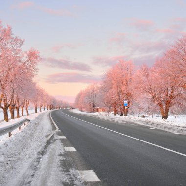 Karla kaplı orman ve kırsal alanda boş otoyol (asfalt yol). Otobüs durağı. Gündoğumu, kar yağışı. Doğa, Noel tatilleri, uzak yerler, kış lastikleri, tehlikeli sürüş konsepti