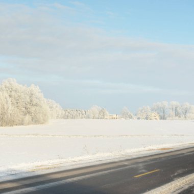 Karla kaplı orman ve kırsal alanda boş otoyol (asfalt yol). Kar sürükleniyor. Avrupa. Doğa, Noel tatilleri, uzak yerler, kış lastikleri, tehlikeli sürüş konsepti