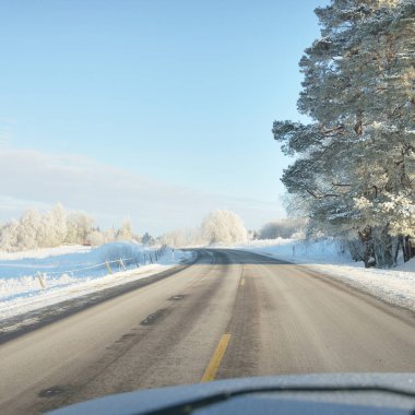 Karla kaplı orman ve kırsal alanda boş otoyol (asfalt yol). Kar sürükleniyor. Avrupa. Doğa, Noel tatilleri, uzak yerler, kış lastikleri, tehlikeli sürüş konsepti