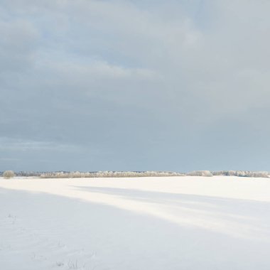 Orman çayırı ve kır arazisi. Saf güneş ışığı, açık mavi gökyüzü. Kış Harikalar Diyarı. Idyllic kırsal kesim. Ekoloji, eko turizm, çevre koruma, noel tatilleri, kayak, uzak yerler