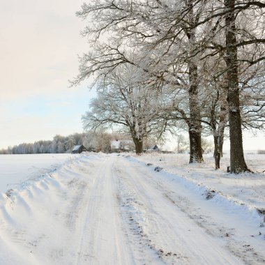 Güneşli bir günde karla kaplı tarlaların ve köyün içinden geçen yol. Arka plandaki kır evleri. Idyllic manzara. Noel tatilleri, eko turizm, yürüyüş, kayak, uzak yerler, off-road teması