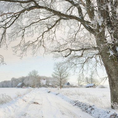 Güneşli bir günde karla kaplı tarlaların ve köyün içinden geçen yol. Arka plandaki kır evleri. Idyllic manzara. Noel tatilleri, eko turizm, yürüyüş, kayak, uzak yerler, off-road teması