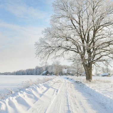 Güneşli bir günde karla kaplı tarlaların ve köyün içinden geçen yol. Arka plandaki kır evleri. Idyllic manzara. Noel tatilleri, eko turizm, yürüyüş, kayak, uzak yerler, off-road teması