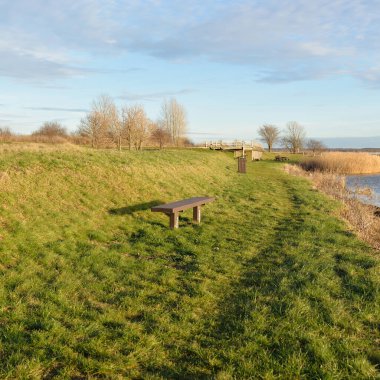 Modern dinlenme alanı, orman parkı, göl. Tahta banklar, masalar. Kamp alanı. Yumuşak güneş ışığı, açık gökyüzü. Baharın başında. Idyllic manzara. Doğa, çevre, ekoloji, eko-turizm, tatiller, hafta sonu