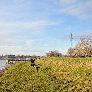 Modern dinlenme alanı, orman parkı, göl. Tahta banklar, masalar. Kamp alanı. Yumuşak güneş ışığı, açık gökyüzü. Baharın başında. Idyllic manzara. Doğa, çevre, ekoloji, eko-turizm, tatiller, hafta sonu