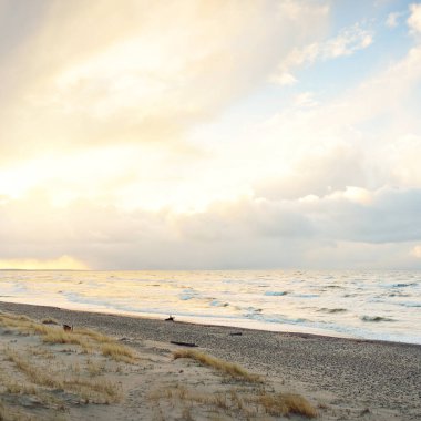 Gün batımında Baltık kıyısı. Kumsal, kum tepeleri. Dramatik gökyüzü akan bulutlar. Yumuşak güneş ışığı. Doğa, hava, çevre, eko turizm