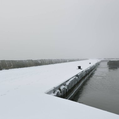 Kumlu sahilden Baltık Denizi 'nin panoramik manzarası. Deniz fenerine dolaş, dalgalar. Yoğun beyaz sis, sis, kar. Dalgalar, su sıçramaları. Deniz Burnu. Tek renkli kış manzarası