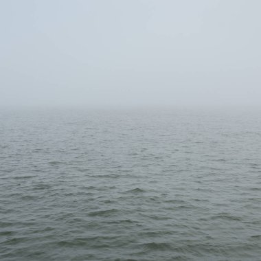 Sis içindeki Baltık Denizi. Dalgalar, su sıçratma, fırtına. Doğal dokular. Resimli panoramik monokrom manzarası, deniz manzarası. Doğa, çevre, sert hava, tehlike