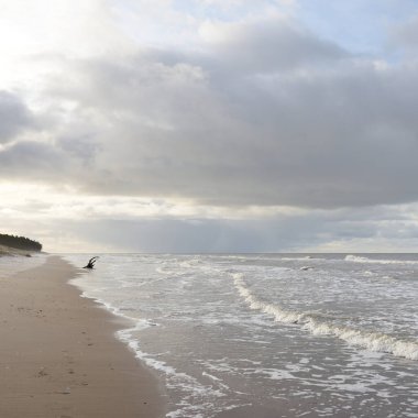 Gün batımında Baltık kıyıları (kum tepeleri). Yumuşak güneş ışığı, parlayan bulutlar, dalgalar ve su fışkıran berrak gökyüzü. Idyllic deniz manzarası. Liepaja, Letonya, Avrupa. Sıcak kış havası, iklim değişikliği, doğa