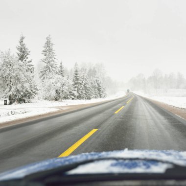 Karla kaplı orman ve arazide boş otoyol (asfalt yol). ABD. Doğa, Noel tatilleri, uzak yerler, kış lastikleri, tehlikeli sürüş konsepti