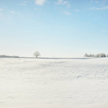 Orman çayırı ve kır arazisi. Saf güneş ışığı, açık mavi gökyüzü. Kış Harikalar Diyarı. Idyllic kırsal kesim. Ekoloji, eko turizm, çevre koruma, noel tatilleri, kayak, uzak yerler