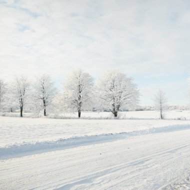 Kırsal alanda, karla kaplı tarlaların içinden geçen köy yolu. Arabadan görüntü. Kar sürükleniyor. Avrupa. Doğa, Noel tatilleri, uzak yerler, kış lastikleri, tehlikeli sürüş konsepti
