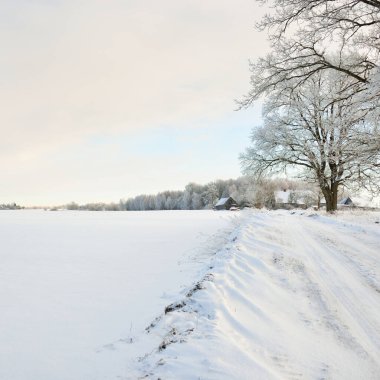 Güneşli bir günde karla kaplı tarlaların ve köyün içinden geçen yol. Arka plandaki kır evleri. Idyllic manzara. Noel tatilleri, eko turizm, yürüyüş, kayak, uzak yerler, off-road teması