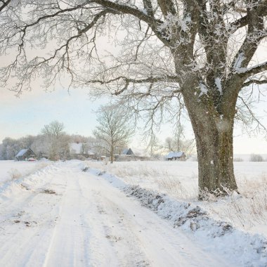 Güneşli bir günde karla kaplı tarlaların ve köyün içinden geçen yol. Arka plandaki kır evleri. Idyllic manzara. Noel tatilleri, eko turizm, yürüyüş, kayak, uzak yerler, off-road teması
