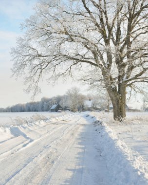 Güneşli bir günde karla kaplı tarlaların ve köyün içinden geçen yol. Arka plandaki kır evleri. Idyllic manzara. Noel tatilleri, eko turizm, yürüyüş, kayak, uzak yerler, off-road teması
