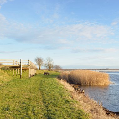 Modern dinlenme alanı, orman parkı, göl. Tahta banklar, masalar. Kamp alanı. Yumuşak güneş ışığı, açık gökyüzü. Baharın başında. Idyllic manzara. Doğa, çevre, ekoloji, eko-turizm, tatiller, hafta sonu