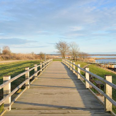 Modern ahşap yürüyüş yolu (bisiklet yolu, tahta yol). Eğlence alanı, orman parkı. Yumuşak güneş ışığı, açık gökyüzü. Baharın başında. Idyllic manzara. Doğa, çevre, ekoloji, eko-turizm, tatiller, hafta sonu