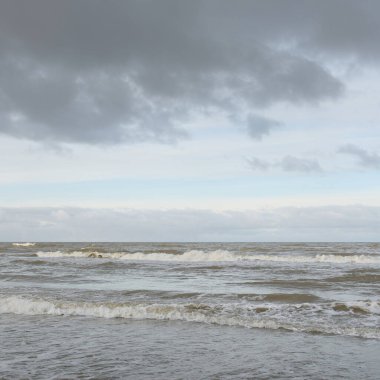 Kumlu bir sahilden (kum tepeleri) Baltık denizinin panoramik görüntüsü. Koyu bulutlu dramatik bir gökyüzü. Dalgalar, su sıçramaları. Idyllic deniz manzarası. Sıcak kış havası, iklim değişikliği, doğa. Danimarka