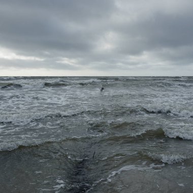 Kumlu sahilden Baltık Denizi manzarası (kum tepeleri). Dramatik gökyüzü, karanlık, parlak bulutlar. Dalgalar, su sıçramaları. Balıkçı tekneleri için eski iskele. Deniz Burnu. Bahar, iklim, doğa