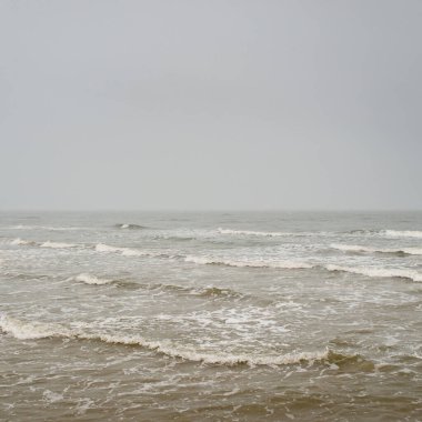Sis içindeki Baltık Denizi. Dalgalar, su sıçratma, fırtına. Doğal dokular. Resimli panoramik monokrom manzarası, deniz manzarası. Doğa, çevre, sert hava, tehlike