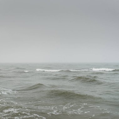 Sis içindeki Baltık Denizi. Dalgalar, su sıçratma, fırtına. Doğal dokular. Resimli panoramik monokrom manzarası, deniz manzarası. Doğa, çevre, sert hava, tehlike