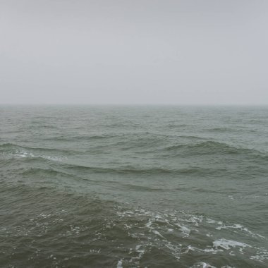 Sis içindeki Baltık Denizi. Dalgalar, su sıçratma, fırtına. Doğal dokular. Resimli panoramik monokrom manzarası, deniz manzarası. Doğa, çevre, sert hava, tehlike