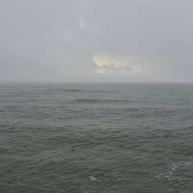 Sis içindeki Baltık Denizi. Dalgalar, su sıçratma, fırtına. Doğal dokular. Resimli panoramik monokrom manzarası, deniz manzarası. Doğa, çevre, sert hava, tehlike
