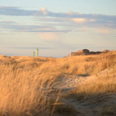 Gün batımında Baltık kıyısı. Kumsal, kum tepeleri. Dinlenme alanı. Yumuşak güneş ışığı. Doğa, çevre, yerel seyahat, eko turizm