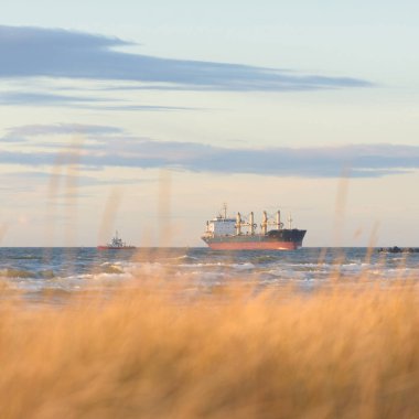Gün batımında Baltık kıyısı. Kumsal, kum tepeleri. Dinlenme alanı. Yumuşak güneş ışığı. Doğa, çevre, yerel seyahat, eko turizm
