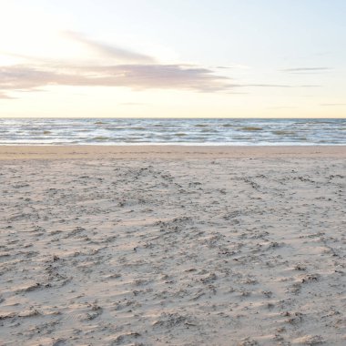 Gün batımında Baltık kıyısı. Kumsal, kum tepeleri. Dinlenme alanı. Yumuşak güneş ışığı. Doğa, çevre, yerel seyahat, eko turizm