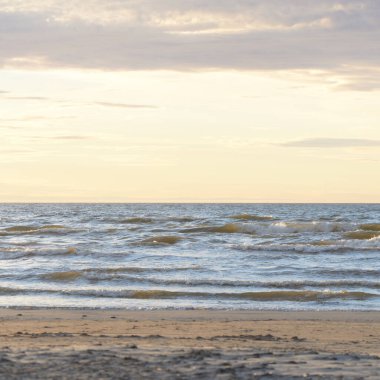 Gün batımında Baltık kıyısı. Kumsal, kum tepeleri. Dinlenme alanı. Yumuşak güneş ışığı. Doğa, çevre, yerel seyahat, eko turizm