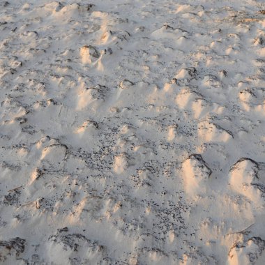 Deniz kıyısı dokusu. Kum tepeleri, rüzgar, yumuşak altın güneş ışığı. Soyut doğal şablon. Çöl, iklim değişikliği, çevre, doğa