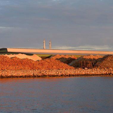Kargo iskelesine yeni yapılmış odun yükleme. Yük taşımacılığı, lojistik, küresel iletişim, sanayi, ekonomi, ticaret, kereste sanayii, siyaset, yolsuzluk, ekolojik sorunlar